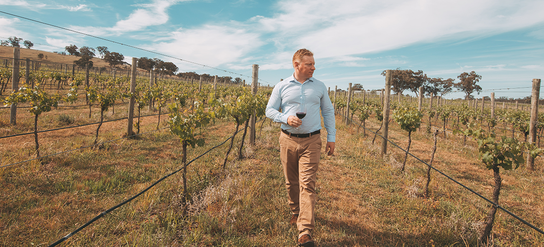 Michael Wren in vineyard